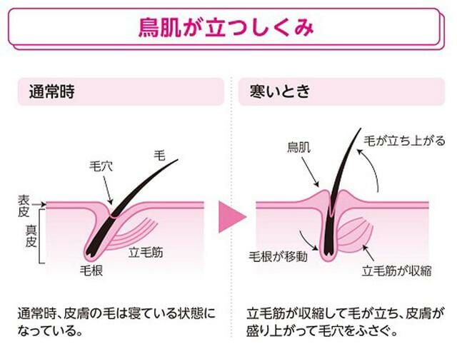 美容のダメ知識 ぬるま湯で毛穴が開くことはない Anna Skincare